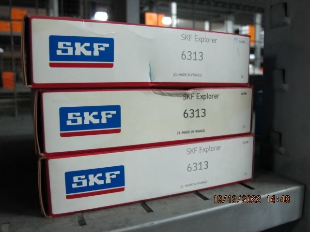 SKF Photo 118